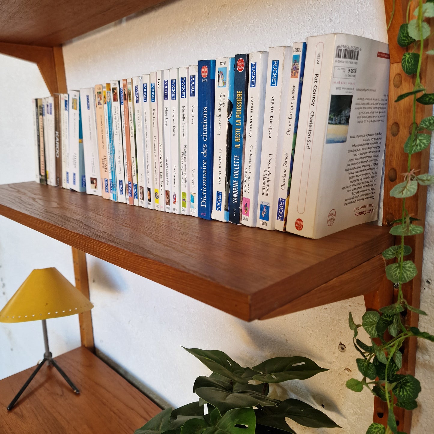 Bibliothèque Poul Cadovius