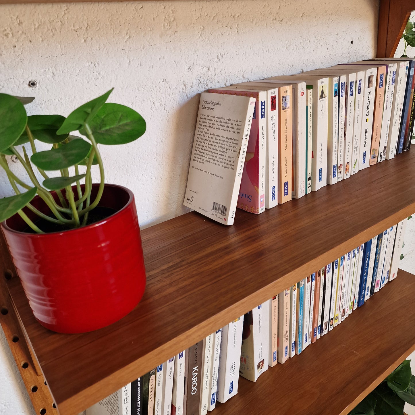 Bibliothèque Poul Cadovius