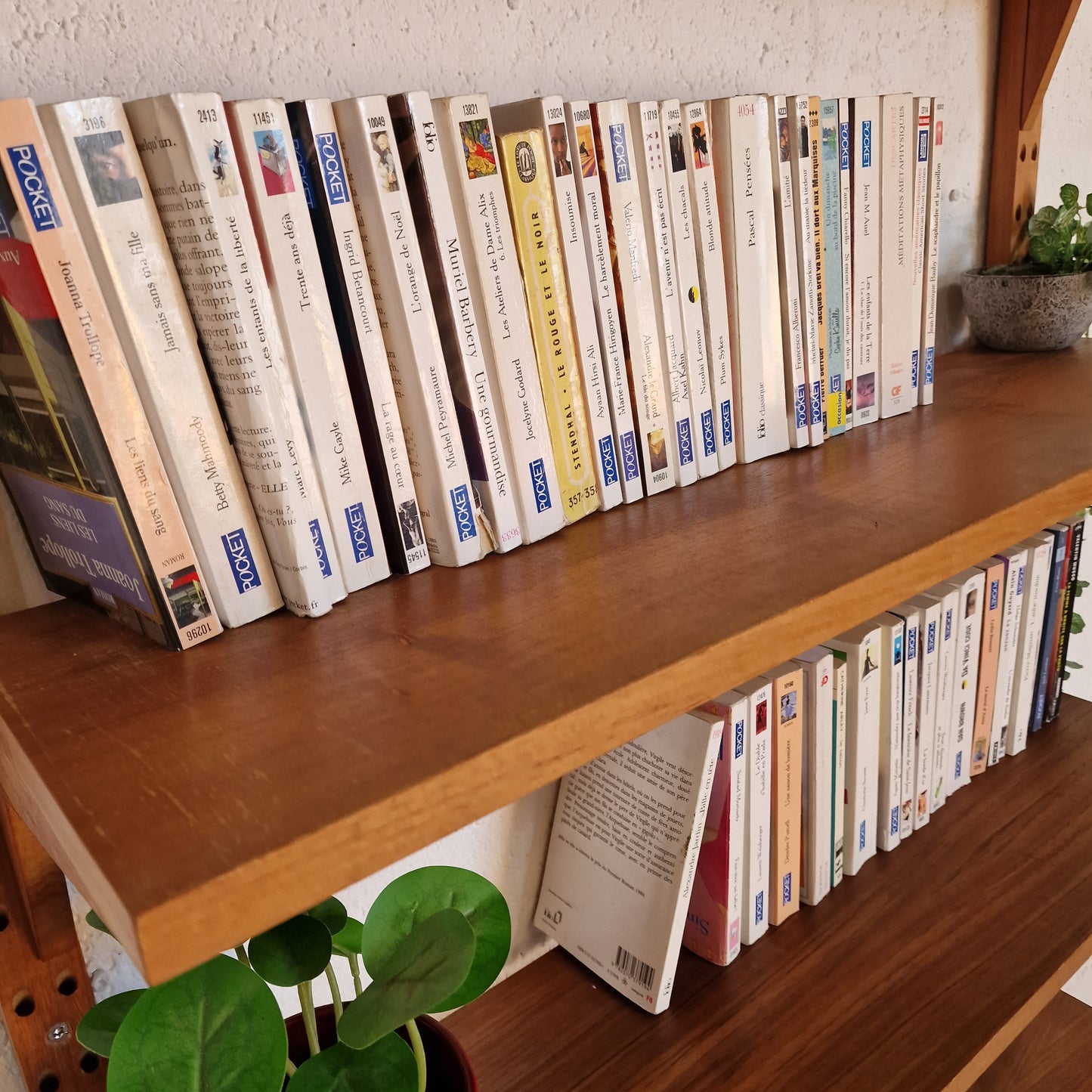 Bibliothèque Poul Cadovius